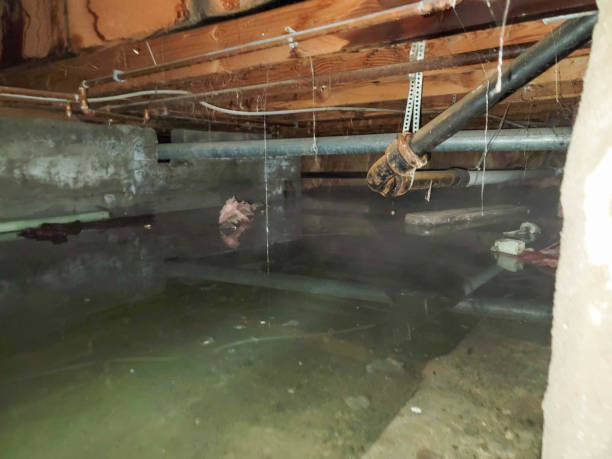 Best Ceiling water damage repair  in Queen City, TX