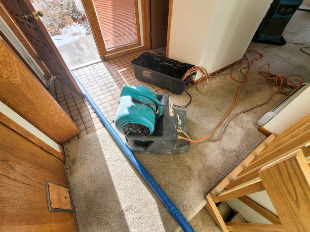 Best 24-hour water damage restoration  in Queen City, TX