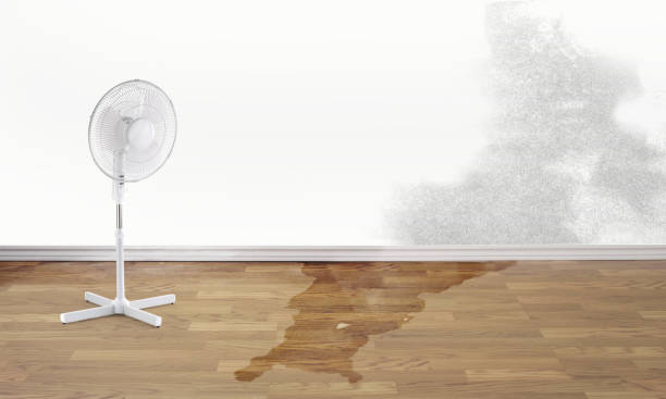 Best Water damage restoration near me  in Queen City, TX