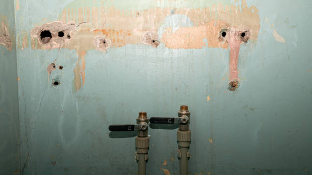 Best Water damage restoration near me  in Queen City, TX