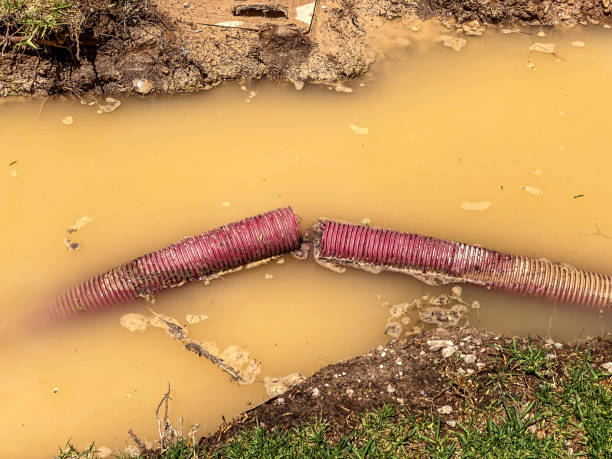 Water damage restoration insurance claims in TX