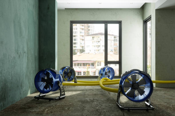 Best Emergency water damage restoration  in Queen City, TX
